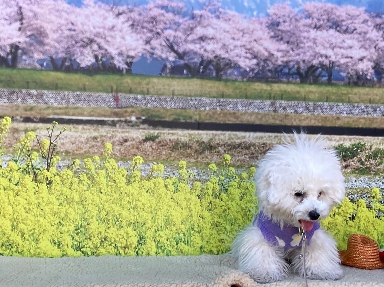 画像8584