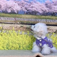 画像8585