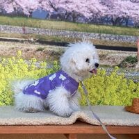 画像8586