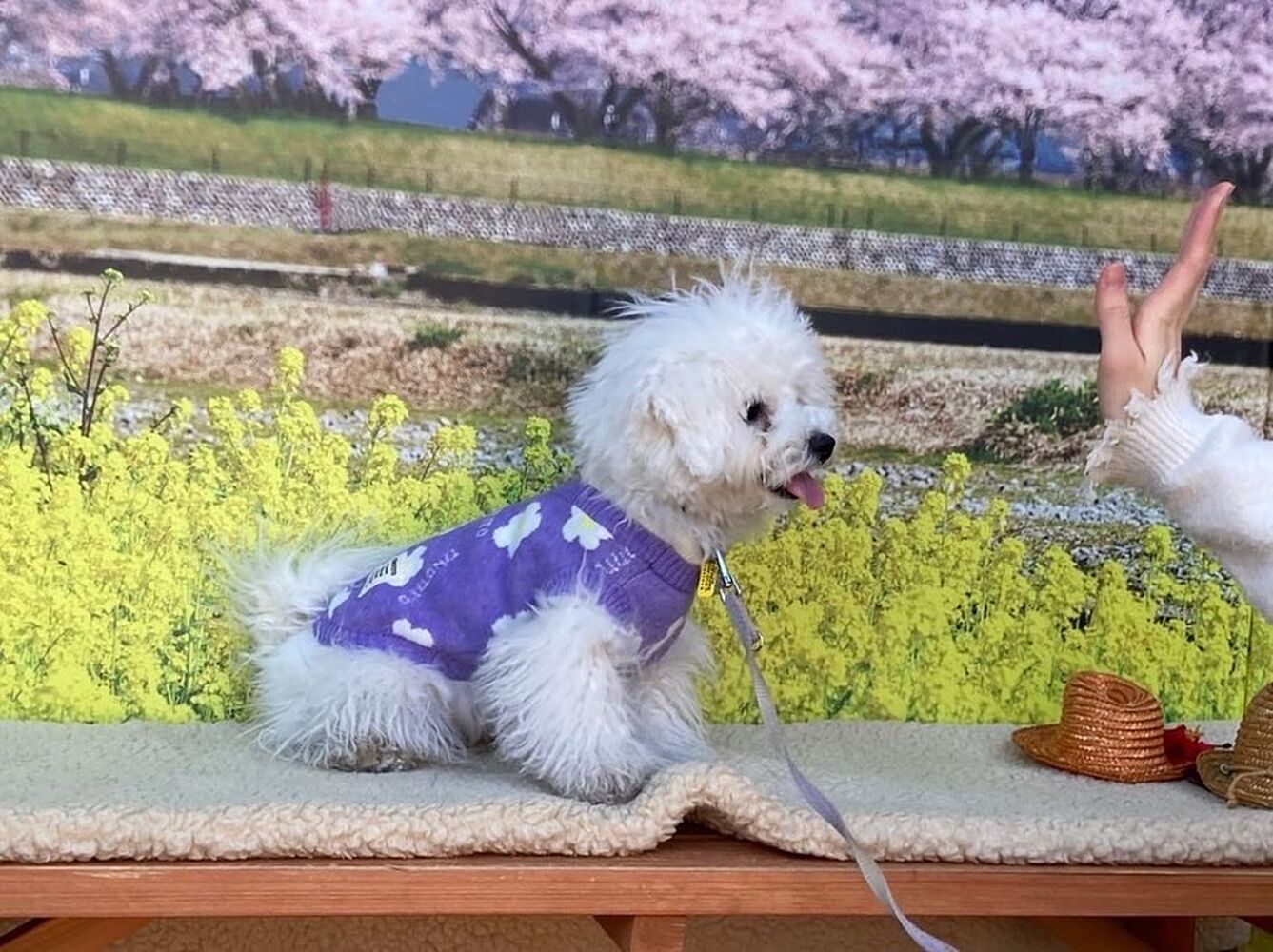画像8586