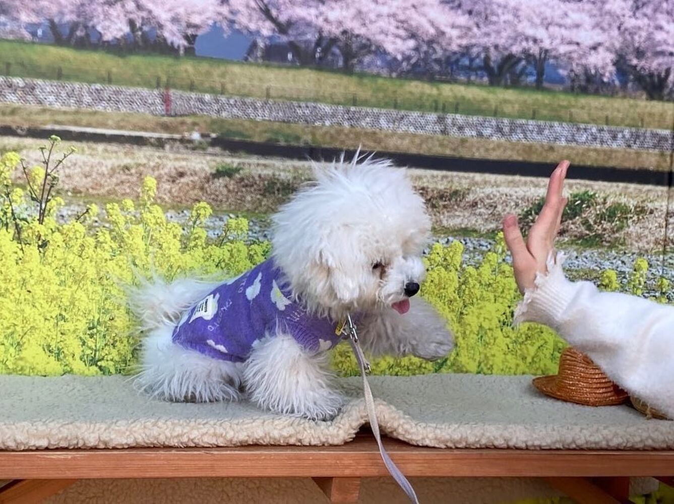画像8587