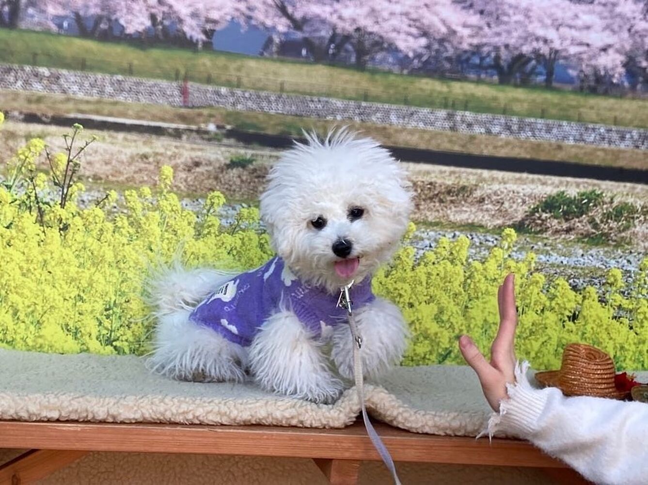 画像8588
