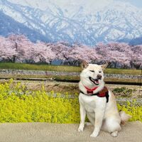 画像8600