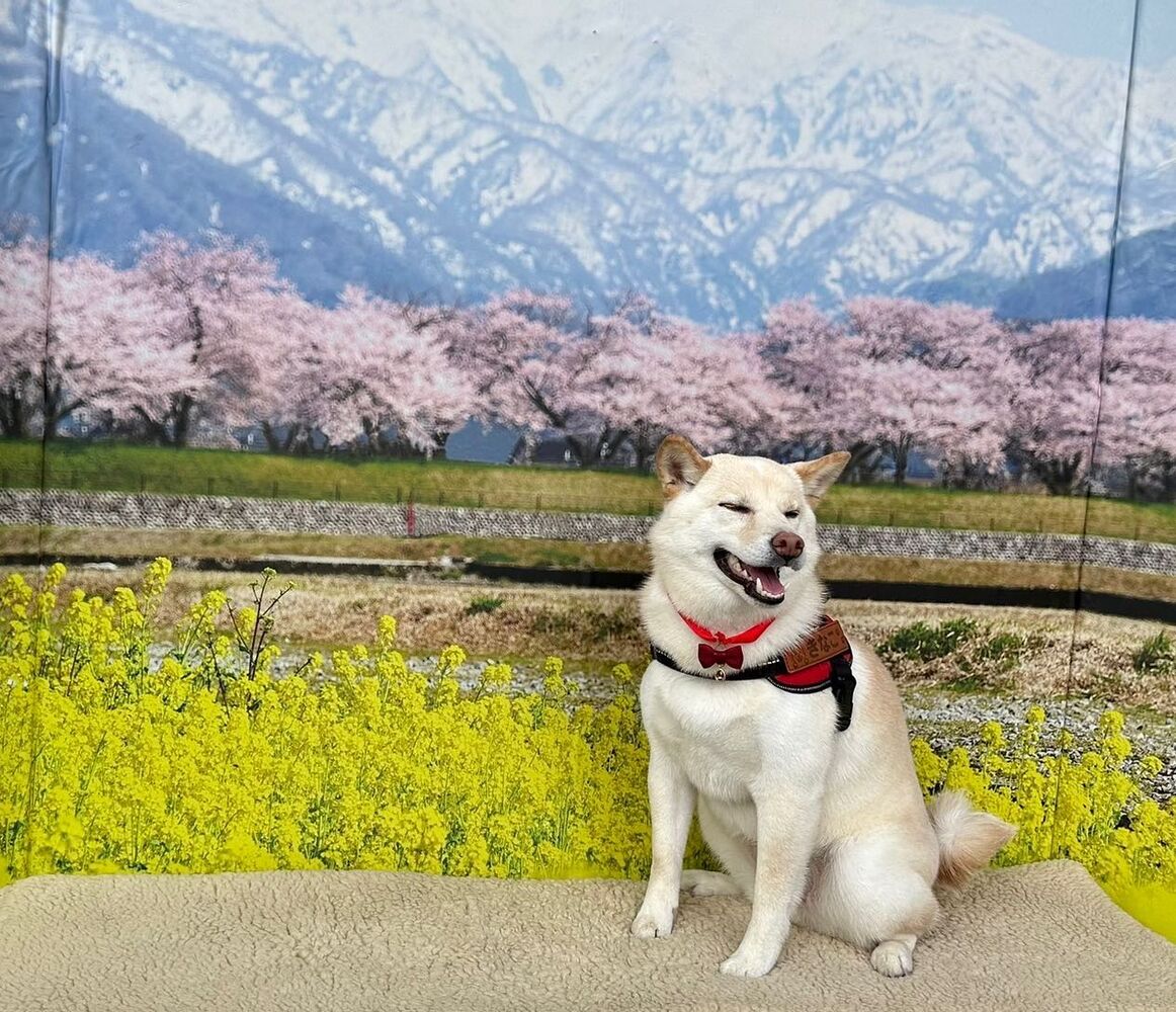 画像8600