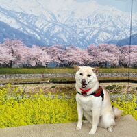 画像8601