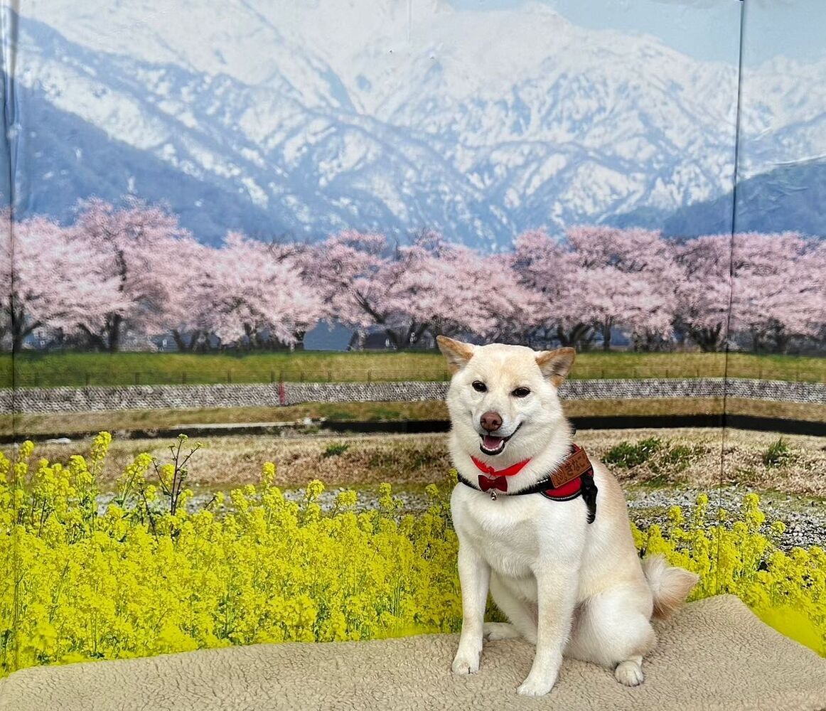 画像8601