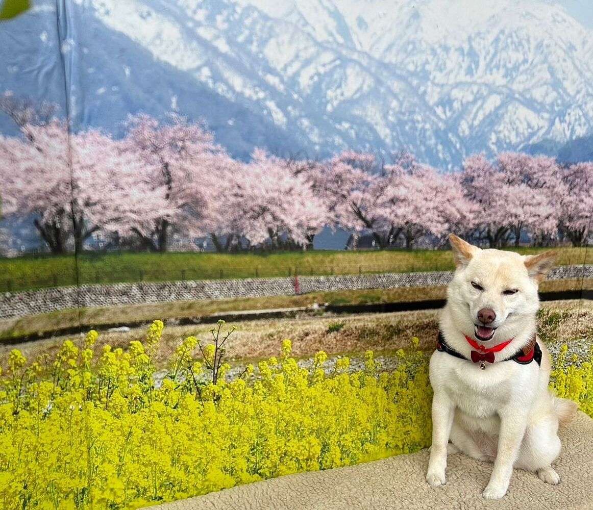 画像8602