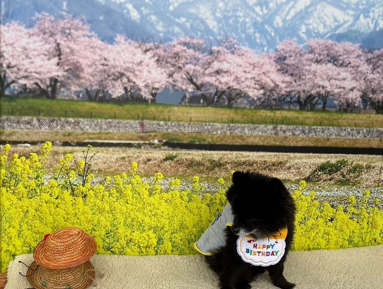 画像8640