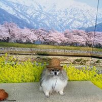 画像8659