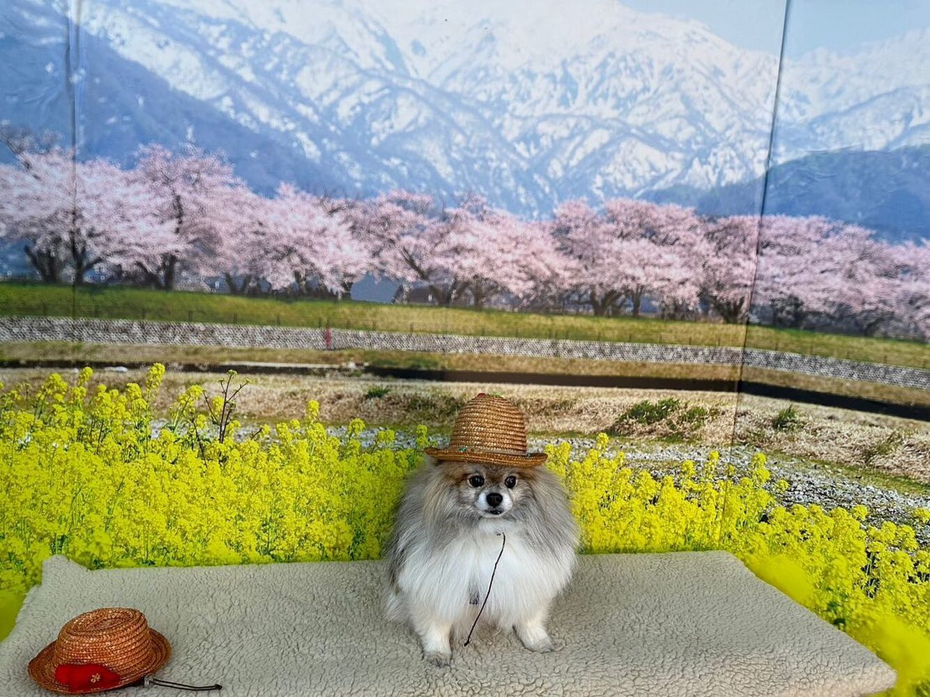 画像8659