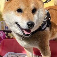 画像8668