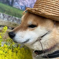 画像8669