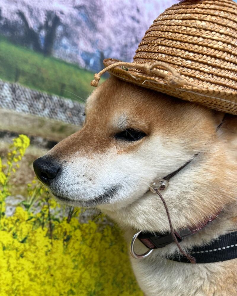 画像8669