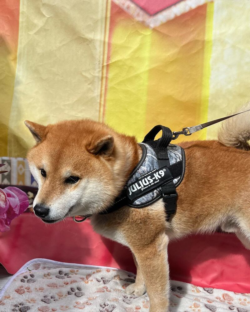 画像8670