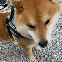 画像8671