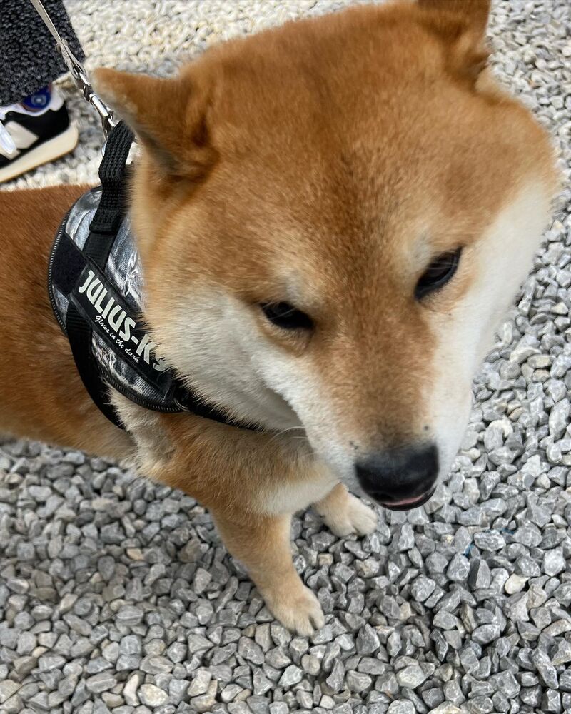 画像8671