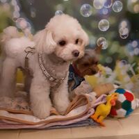 画像8690