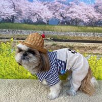 画像8703