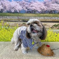 画像8712