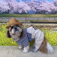 画像8713