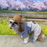 画像8714