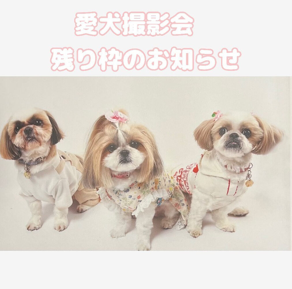 画像8722