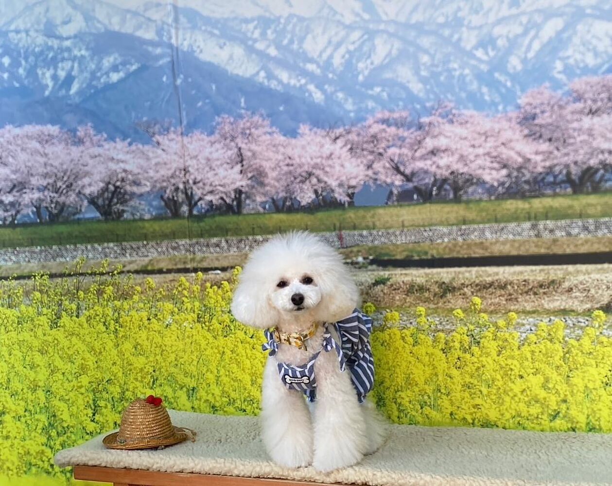 画像8743