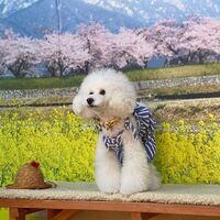 画像8744