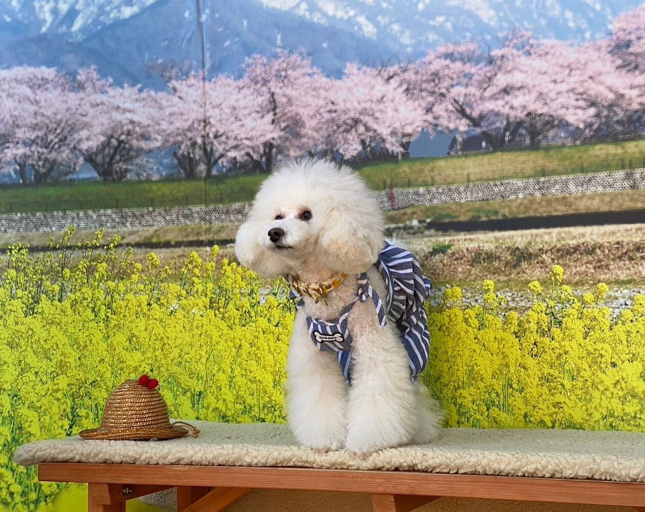 画像8744