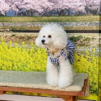 画像8745