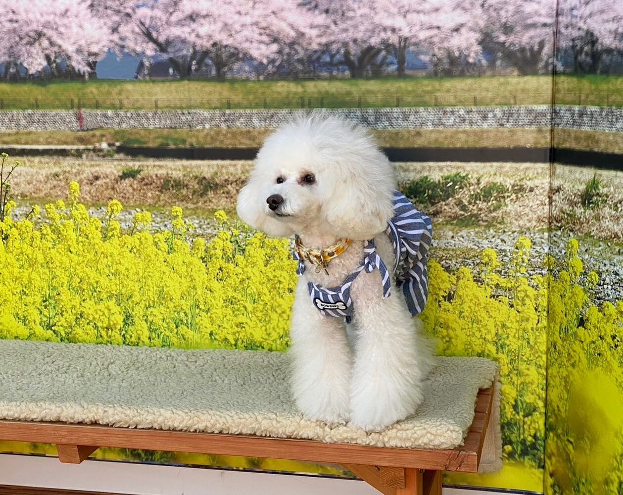 画像8745