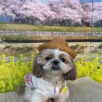 画像8759