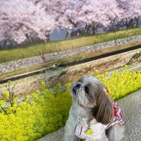 画像8763