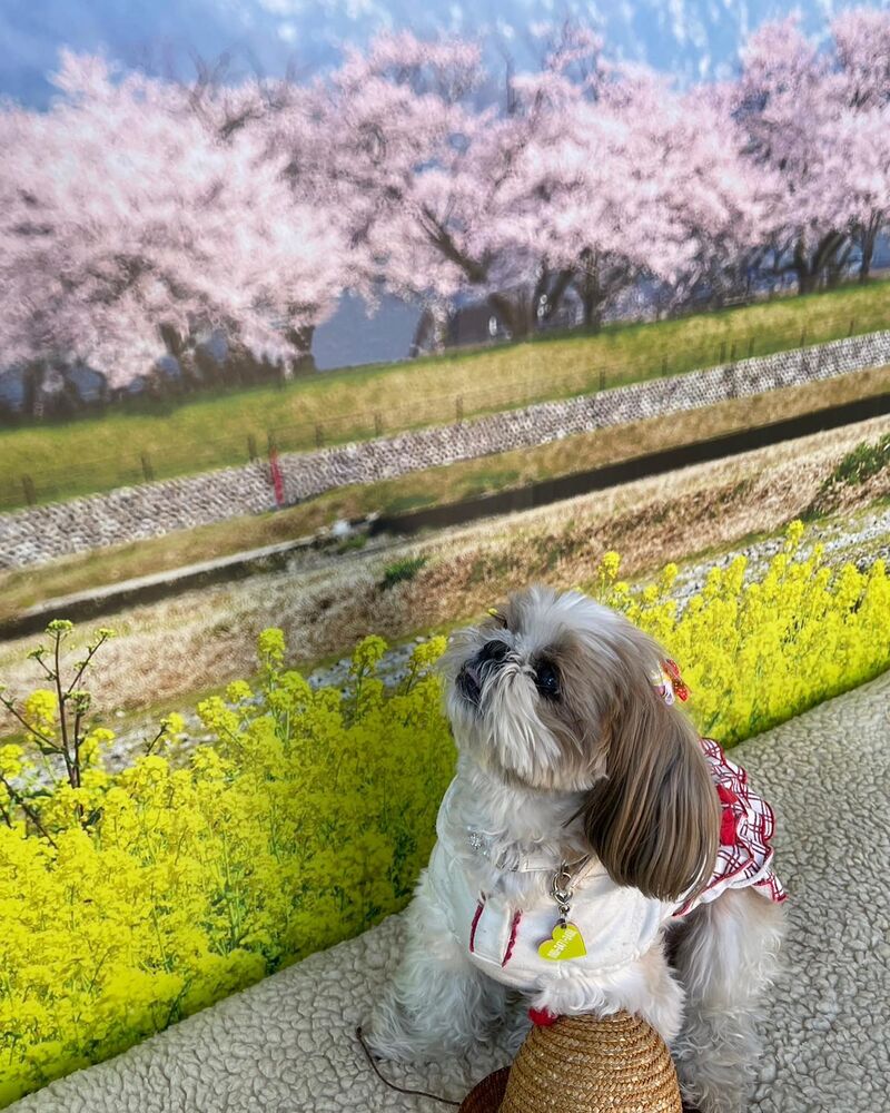 画像8763