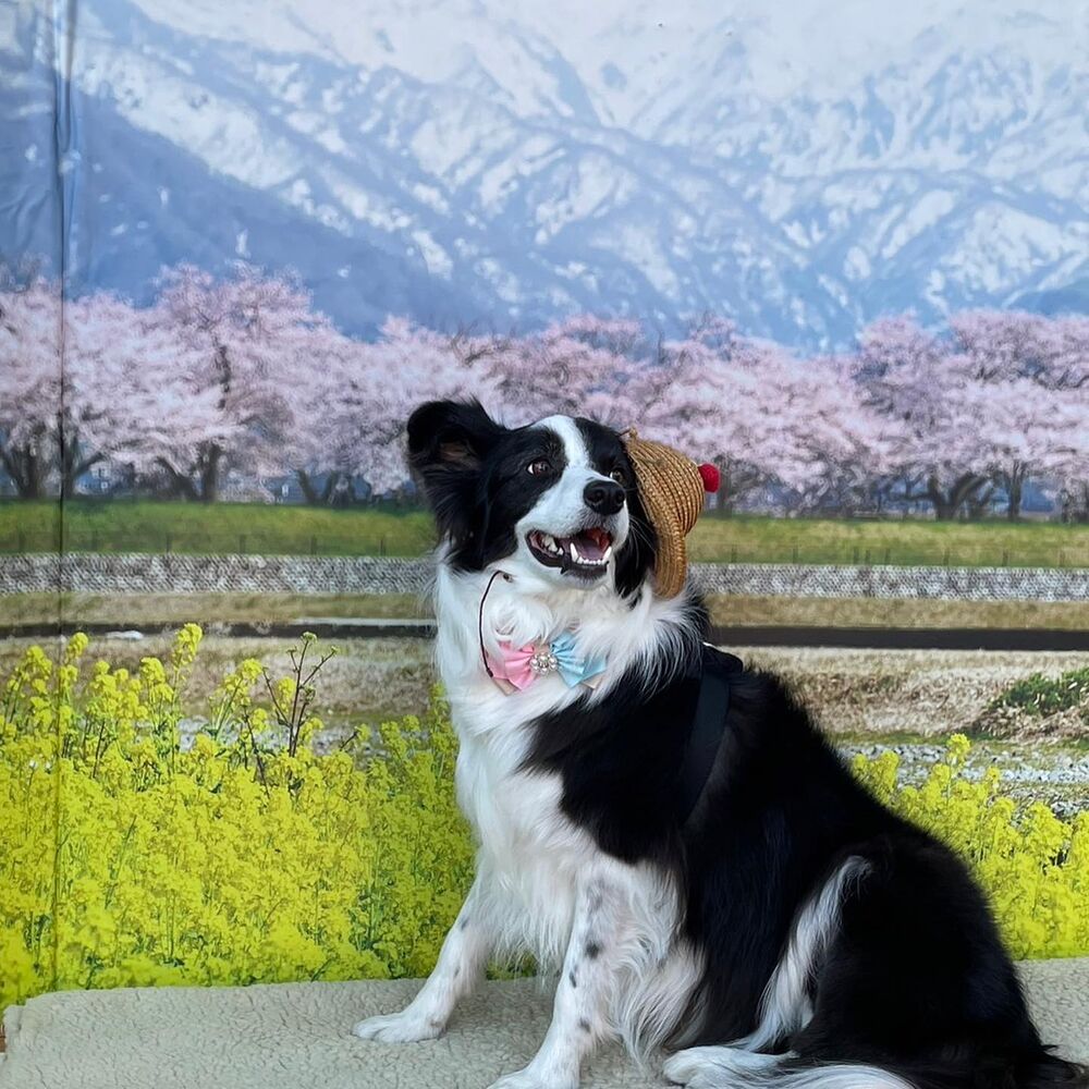 画像8769