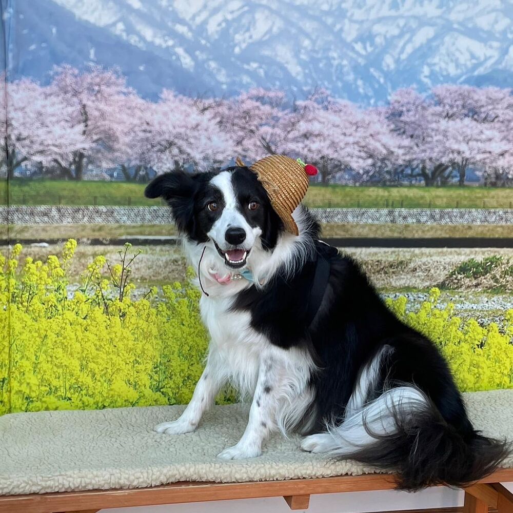 画像8770
