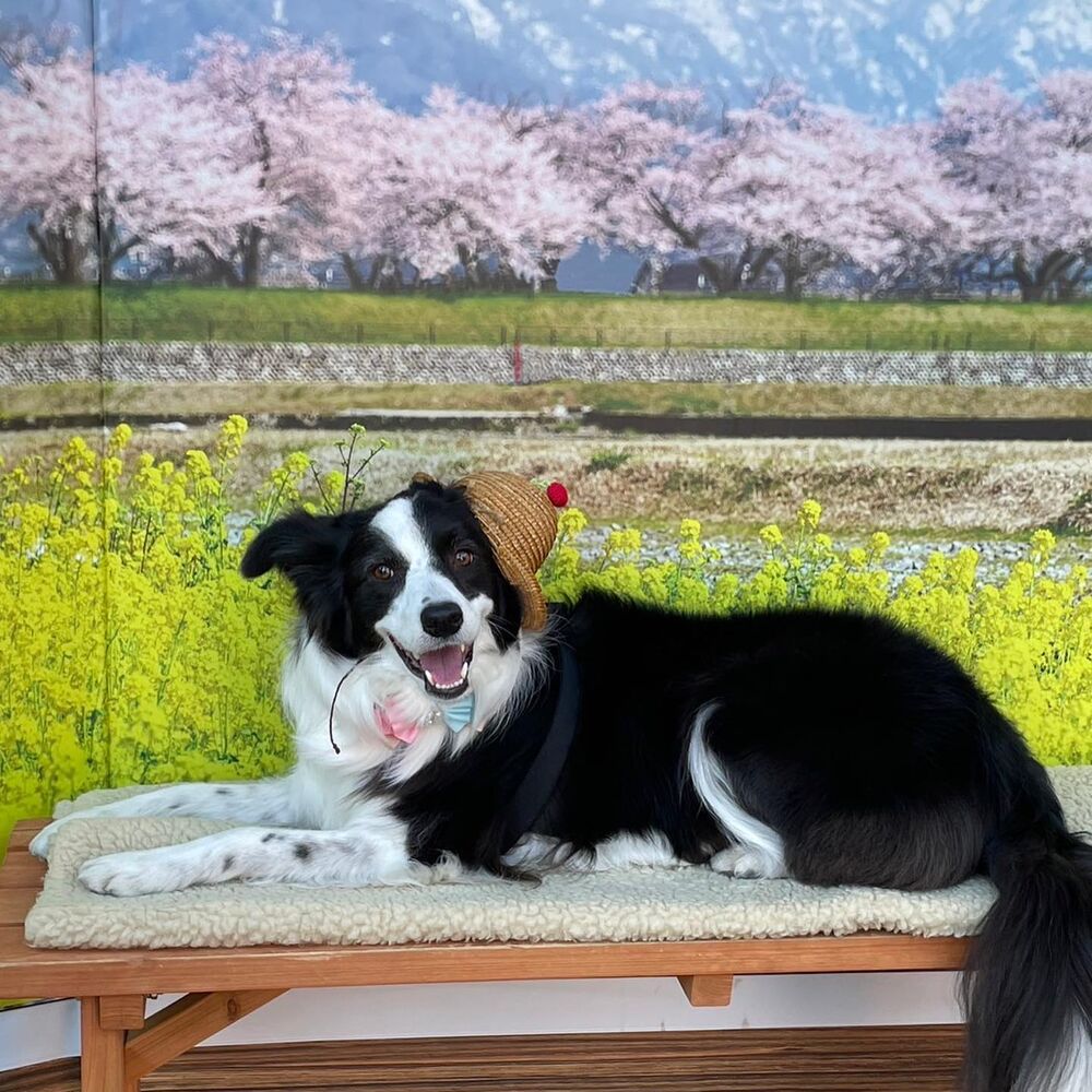 画像8771