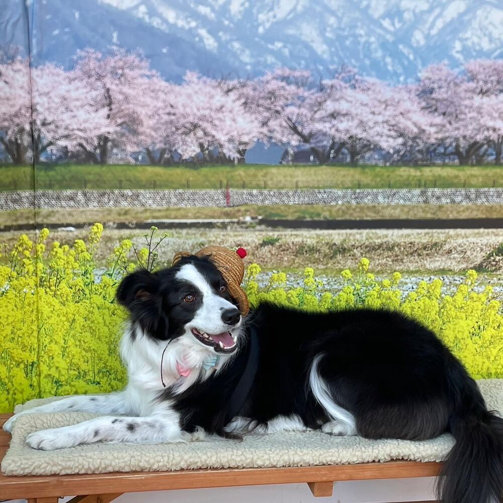 画像8772
