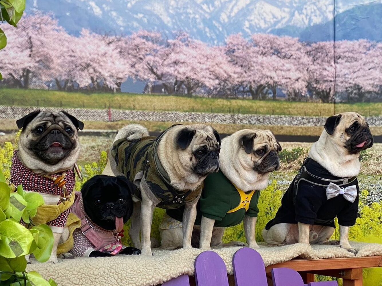 画像8778