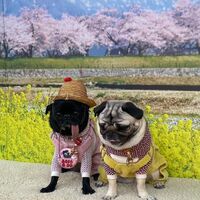 画像8779