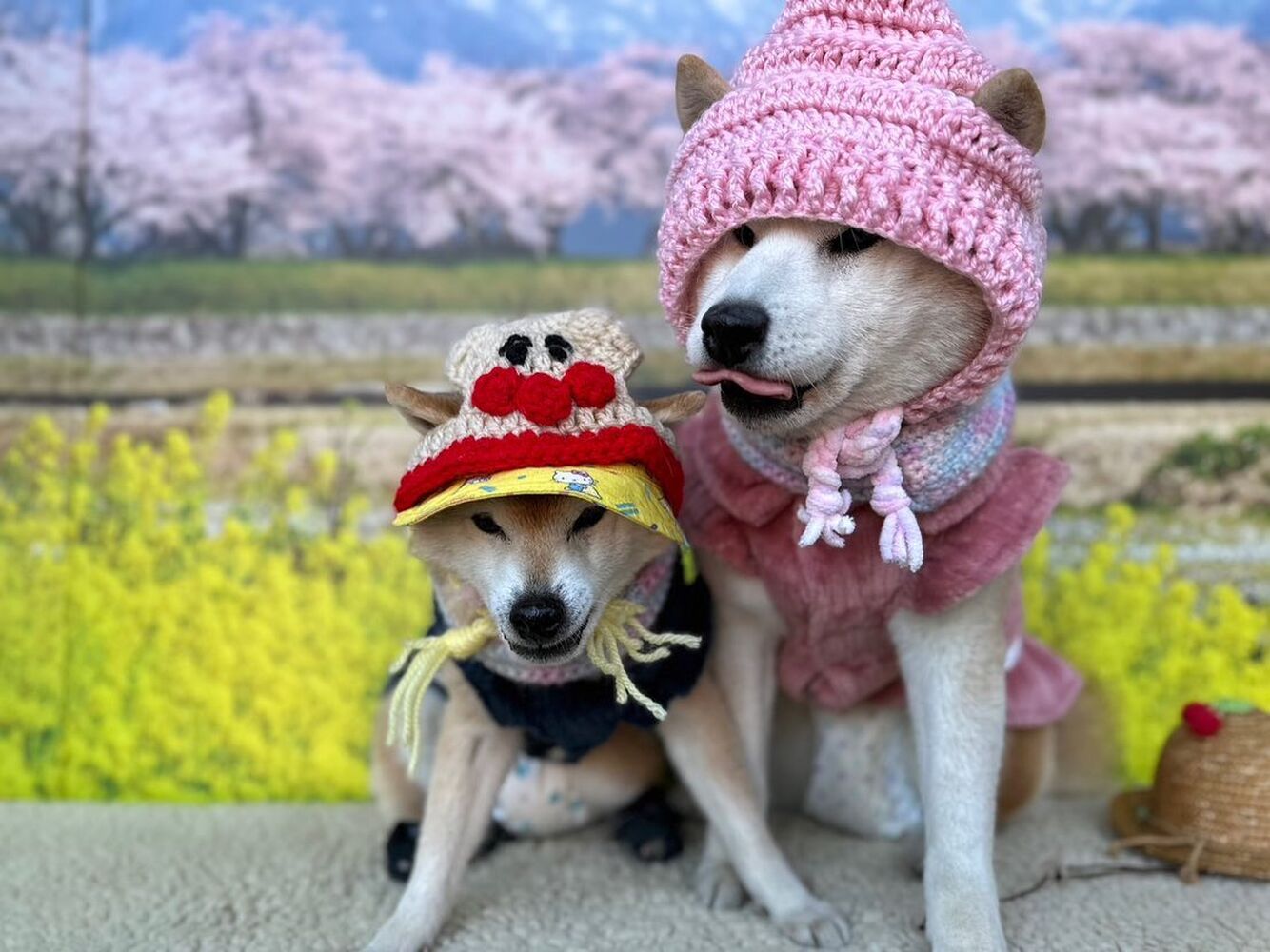 画像8787