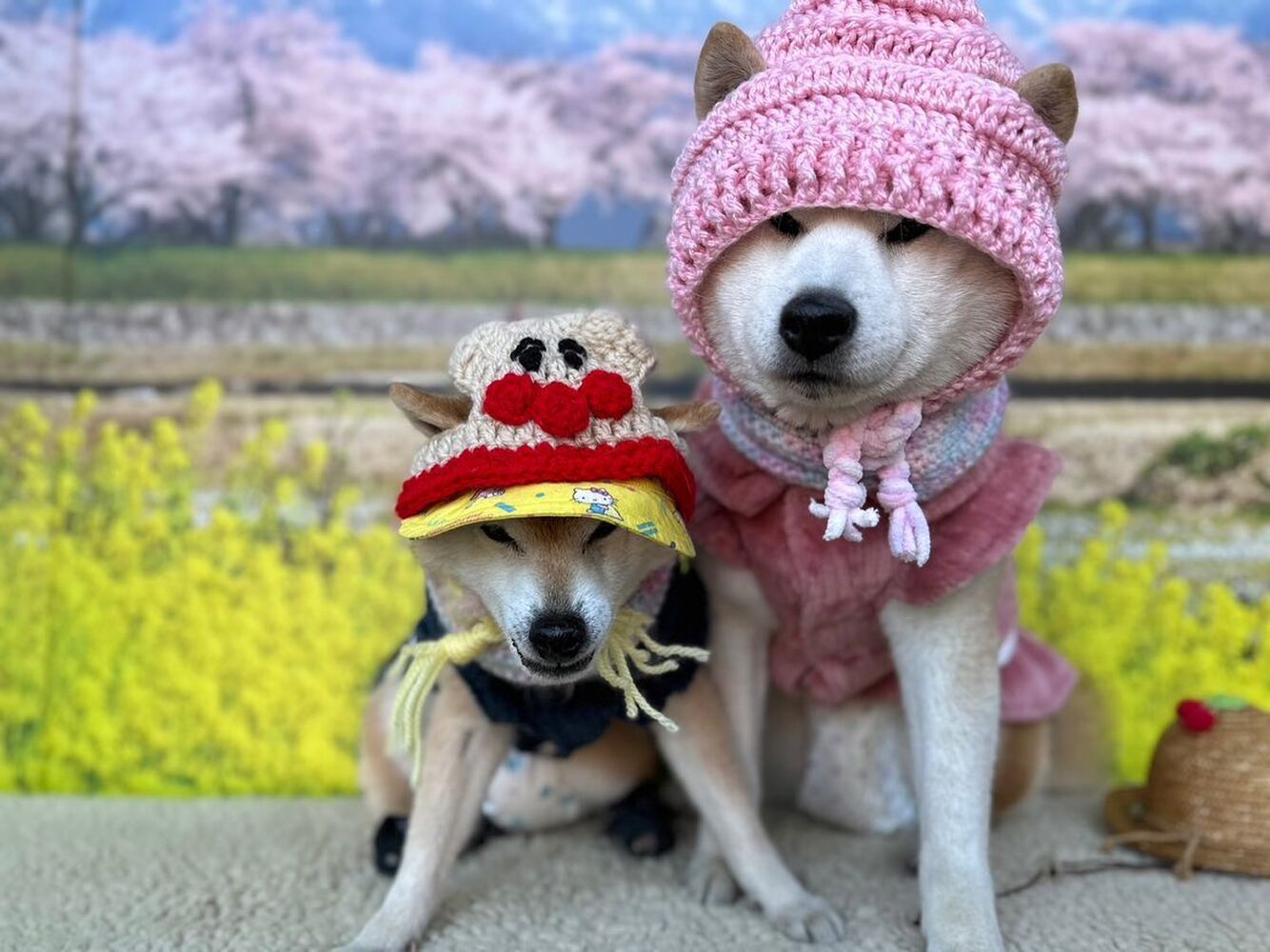 画像8788