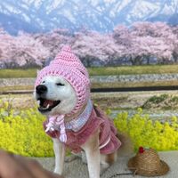 画像8789
