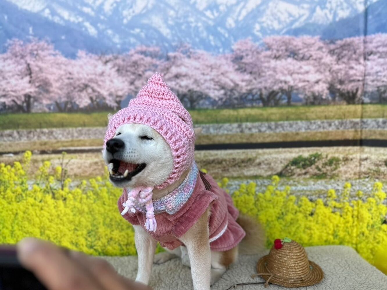 画像8789