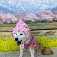 画像8790