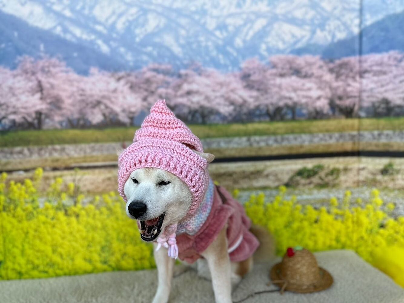 画像8790