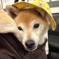 画像8791