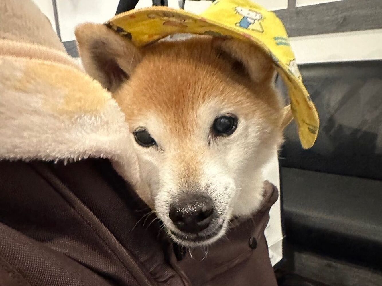 画像8791