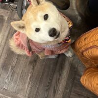 画像8792