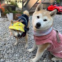 画像8794
